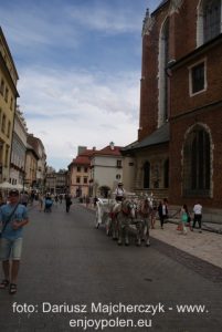 Krakow_svensk_guide