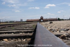 guidad_tur_till_Auschwitz