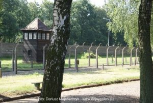 svenskguidad_tur_Auschwitz