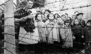 Auschwitz_tur_svenska