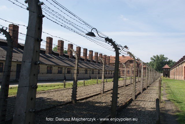 Auschwitz-taggtråd inhängnaden